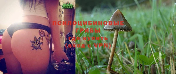 apvp Няндома
