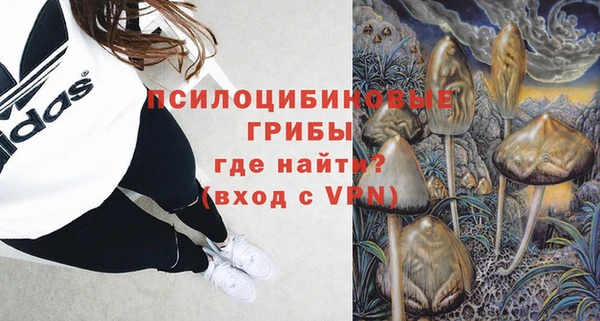 apvp Няндома