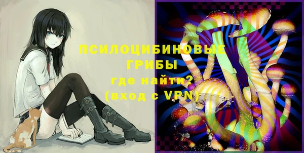 apvp Няндома